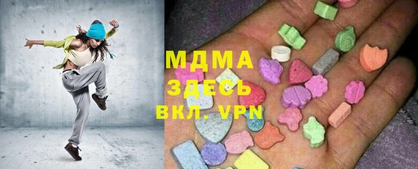стаф Бородино